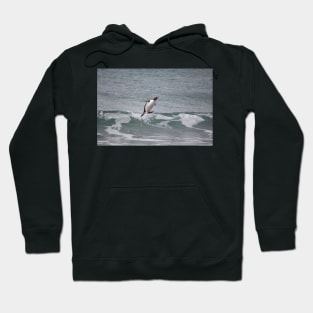 Surfing in gentoo's style Hoodie